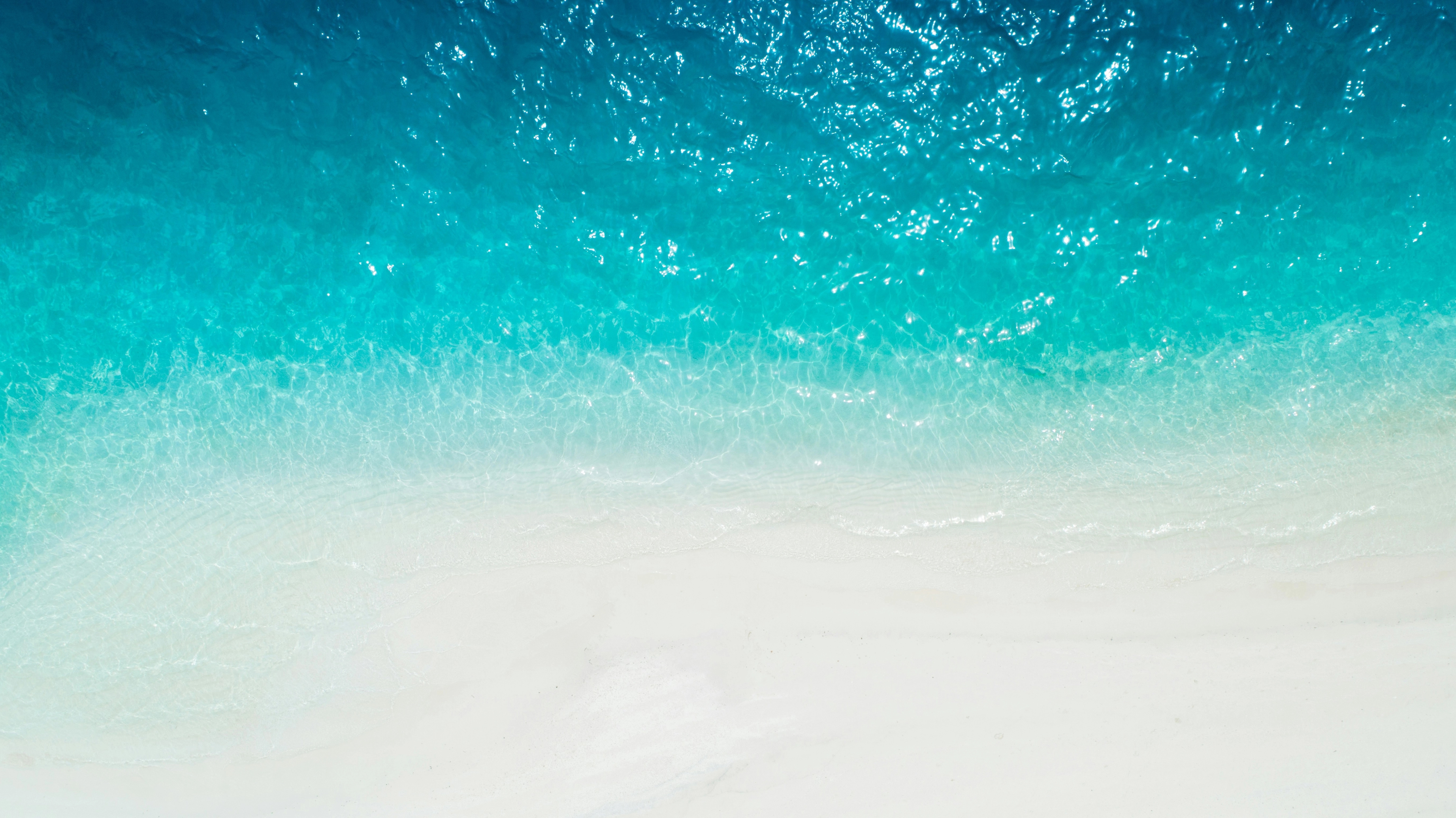 banner2
