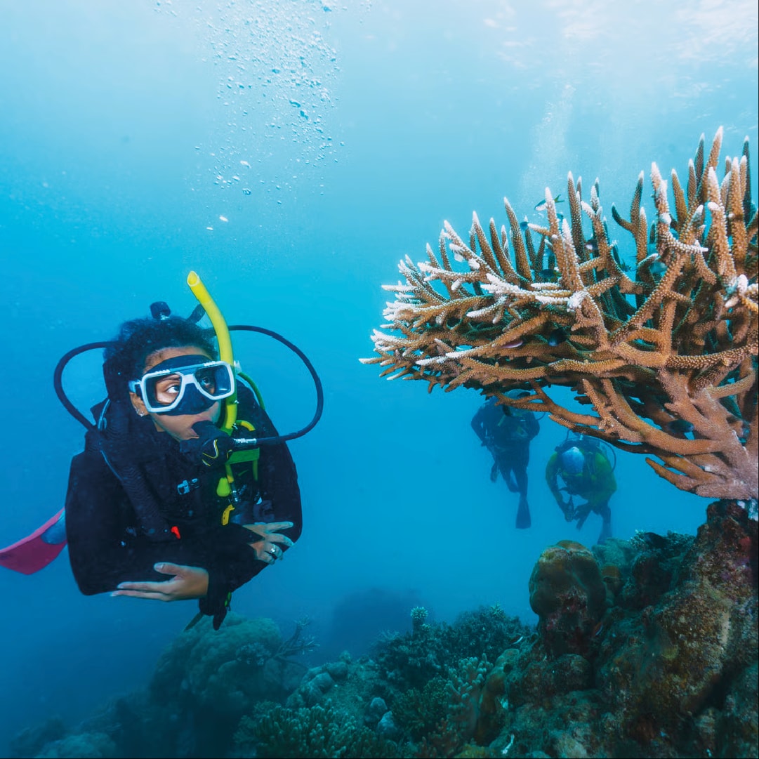 Scuba Diving Kemer