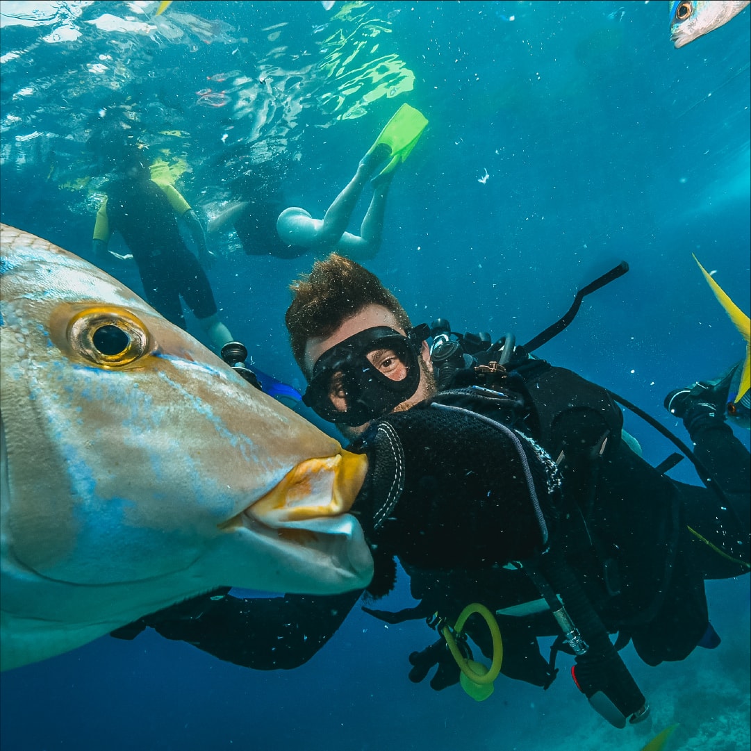 Scuba Diving Kemer