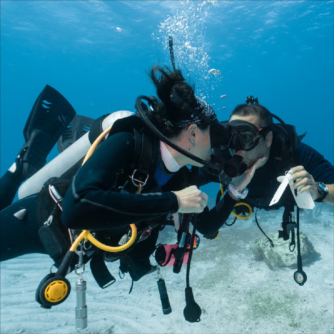 Alanya Okurcalar Scuba Diving Tour
