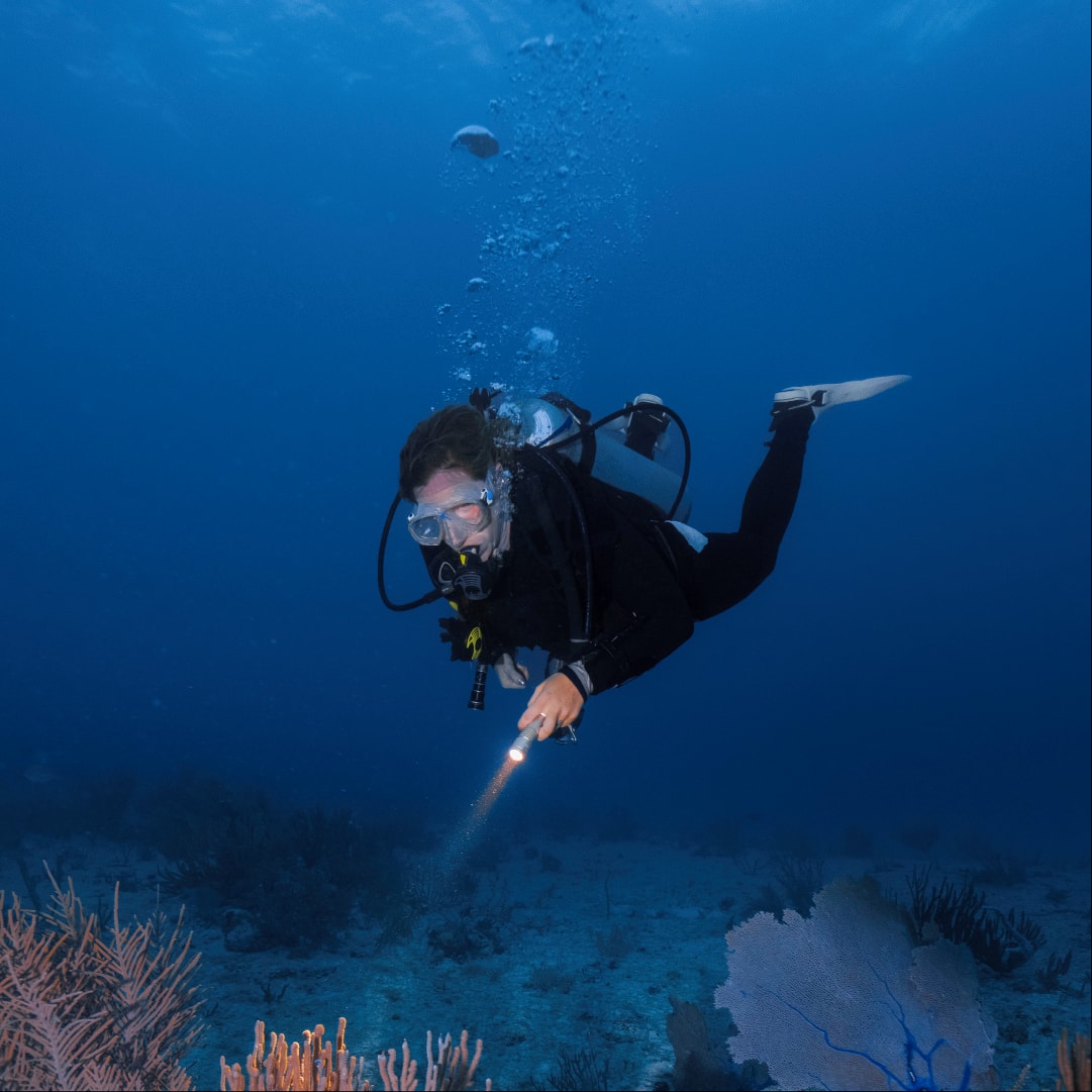Kaş Scuba Diving