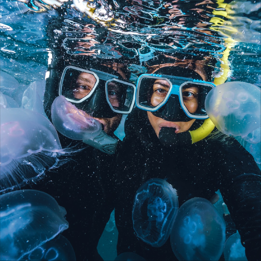 Kaş Scuba Diving